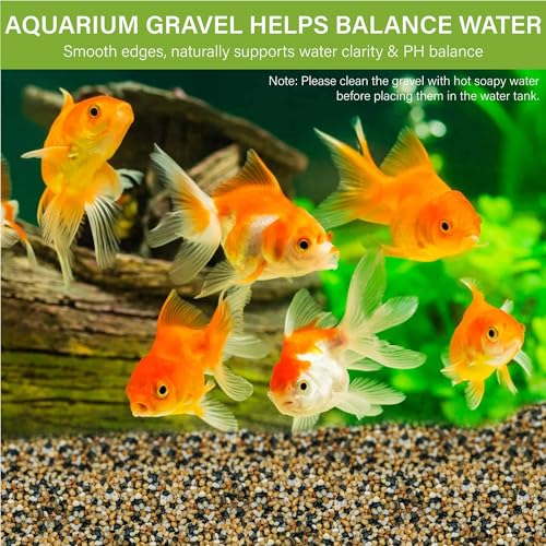 6 lb Aquarium Gravel, 1/4" Ph-Natural Pea Gravel for Fish Tank,Small River Rocks for Plants, Decorative Aquarium Pebbles for Vase Fillers, Landscaping, Succulent, Cactus, Terrarium, Bird Bath