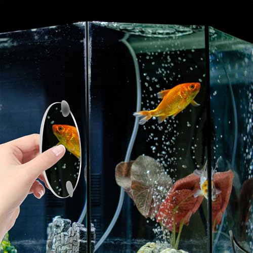 INOOMP Fish Training Acrylic Mirror, Decorative Fish Exercise Mirror Round Betta Exercise with Suction Cups for Tank Decoration -3.5Inch