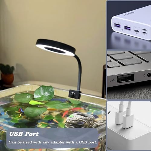 Upgraded Aquarium Light with Timer Clip On Fish Tank LED Light Small USB Light Dimmer Multi-Color White+Warm Yellow+Yellow 1 to 5 Gal (Adapter NOT Included) - size: Black-Dimmer+Timer