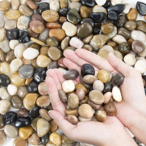 Pebbles Polished Gravel, Natural Polished Mixed Color Stones,0.5-1.2inch Small Decorative River Rock Stones 2 Pounds (32-Oz) - color: Mixed Color, size: 2 LB