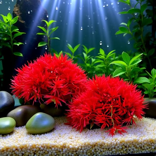 Red Artificial Flowers, Fake Flowers, Artificial Pine with Base Grass Fish Tank Ornament Aquatic Plant Landscape Decor, Aquarium Décor Plastic Plants