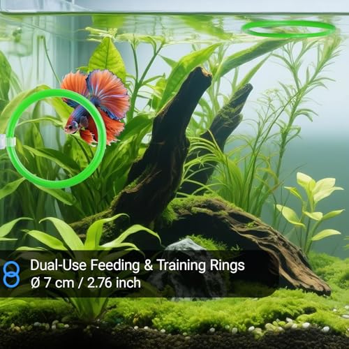 Betta Fish Toy Set: Betta Training Floating Mirror, Training/Feeding Ring, Spoon, and Resting Leaf. Promotes Exercise. Betta Toys, Resting & Feeding Kit. - color: Green