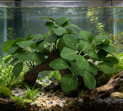 M2cbridge Artificial Fish Tank Plants Aquarium Plant Aquatic Water Grass Foreground Decor(2PCS Large Green) - color: 2pcs Large Green