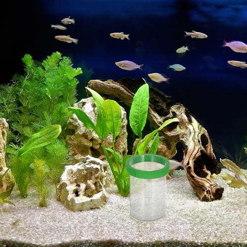 VICASKY Fish Breeding Isolation Box Floating Guppy Hatchery Incubation Tank Egg Holder Aquarium Nursery Divider for Fry and Small Fish