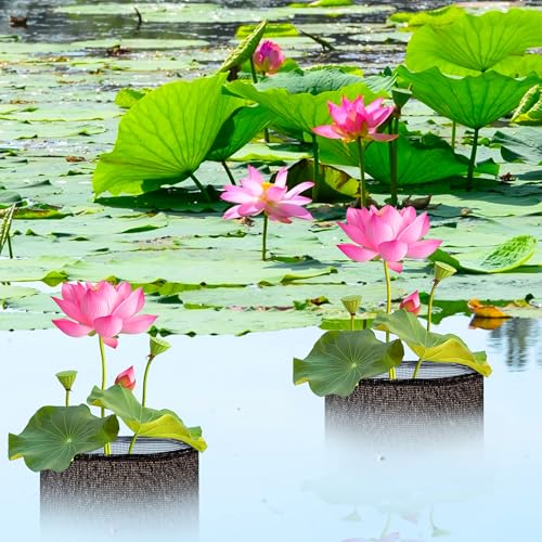 4 Pcs Aquatic Pond Planting Bags-7.1" H x 7.2" Dia Reusable Mesh Water Garden Pond Plant Pot-Breathable Black Round Lily Plant Pots for Pond Bog Plant Garden Terrestrial Plant - color: Black, size: Round