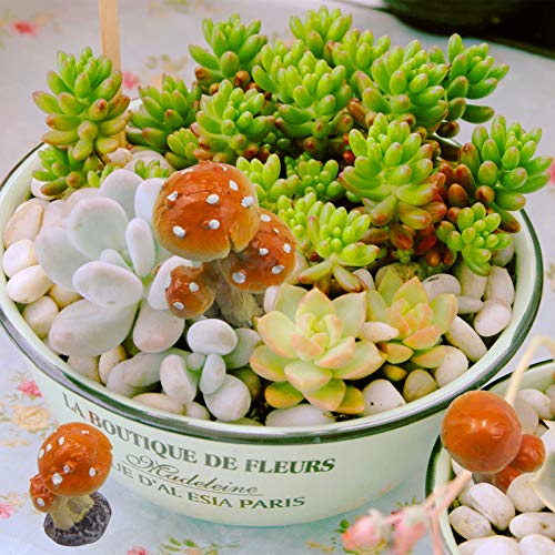 3pcs Resin Mushroom Miniature Fairy Garden Decoration Accessories Sculptures Statues,Yard Decor for Outside Gnomes Outdoor Decor for Patio Zen Garden - size: Mushroom