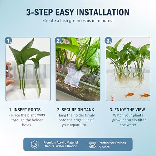 2 Pack Hanging Aquarium Plant Holder – 7-Hole Fish Tank Plant Pot for Pothos & Aquatic Plants, Floating Plant Corral, Aquascape Decor, Rim Plant Holder (Transparent) - color: Transparent