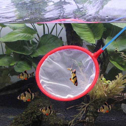 TEHAUX 8pcs Aquarium Fish Tank Nets Dense Fine Mesh Plastic Landing Nets for Fish and Shrimp Catching, Aquarium Cleaning Tool Suitable for Freshwater and Saltwater Tanks Random Color