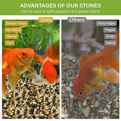 6 lb Aquarium Gravel, 1/4" Ph-Natural Pea Gravel for Fish Tank,Small River Rocks for Plants, Decorative Aquarium Pebbles for Vase Fillers, Landscaping, Succulent, Cactus, Terrarium, Bird Bath