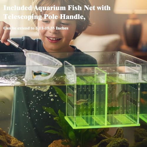 Green Acrylic Aquarium Breeder Box, 7.4x5.3x6.3 in Hang-On Fish Isolation Box with Long Handle Net, Removable Divider & Feeding Hole for Betta Guppy Shrimp Freshwater Saltwater - color: Green, size: 7.4x5.3x6.3in