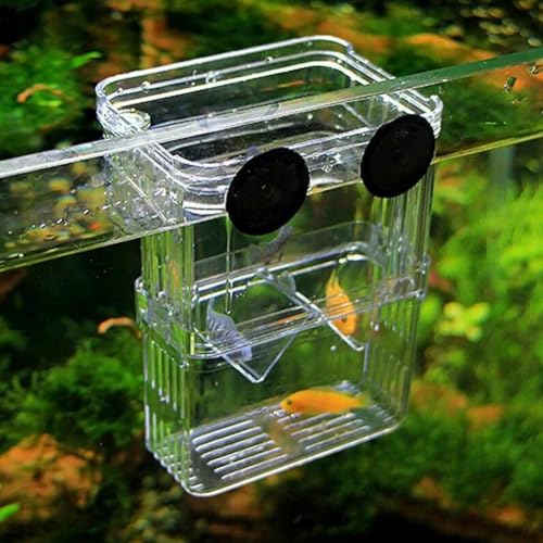Aquarium Fish Breeder Box,Acrylic White Breeder Isolation Divider Hatching Boxes Accessory,Aquarium Acclimation Hatchery Incubator for Small Baby Fishes Shrimp Clownfish Guppy (S) - color: S