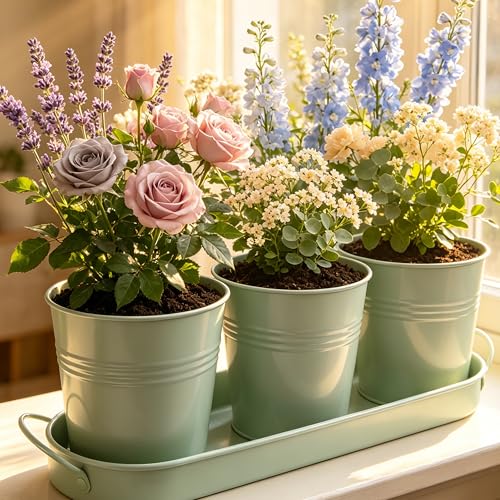 TCBWFY Indoor Herb Garden Planter Set - 3 Pack 4.7" Green Metal Plant Pots with Drainage Holes & Removable Tray - Windowsill Kitchen Counter Balcony Office Garden - color: Green