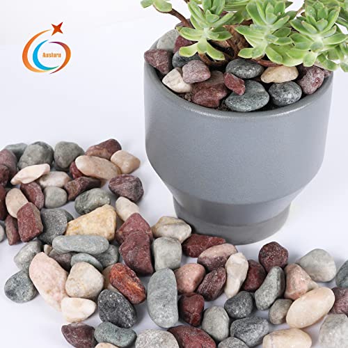 5lbs Natural River Rocks, Polished Pebbles for Plants Garden, 1-2 inch Decorative Countryside Stones, Ideal for Fish Tank, Vases, Crafting, Garden Landscaping Rocks,Countryside - size: 5 Pounds, style: Idyllic