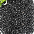 45lb Black Pebbles for Plants,Potting,Succulents Aquarium Fish Tank Vases Decorative Garden Polished Gravel Rocks Stones - size: 45LB, style: Black