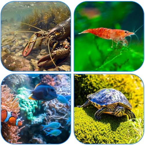Teaaha 10PCS Media Bags for Aquarium Substrate, Extra Fine 150 μm Mesh Filter Bag with Plastic Zipper, Reusable Saltwater Freshwater Aquarium Filter Bags Purigen for Fish Tank(2.4" X 4")