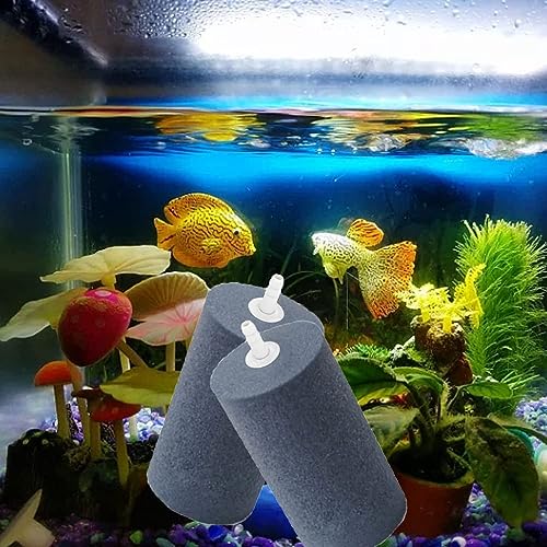 Large Air Stone, Air Stone Hydroponics, 4 x 2 Inch Large Air Stone Cylinder Bubble Diffuser for Aquarium, Fish Tank, Pond and Hydroponics Air Pump, Growing System, Circulation - color: 2-Pack