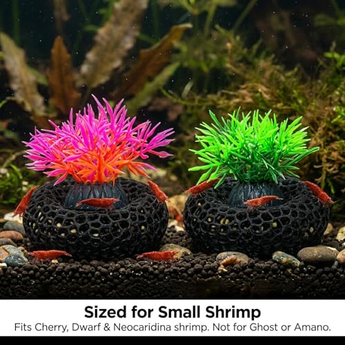 4PCS Shrimp Hides for Aquarium, Natural Shrimp Hide and Shrimp Cave Decorations, Four Aquarium Decorations for Shrimp Tank, Two Shrimp Caves and Two Grass Decorations