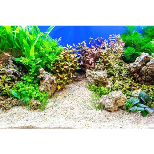 Aquarium Background Underwater Grass Leaves with Pebble Aquarium Backdrop Vivid and Fresh Green Aquatic Plant Stone River Bed and Lake Fish Tank Background Decor Vinyl 24x12in - color: Rock Grey, size: 24(W)x12(H)inches/ 60(W)*30cm(H)