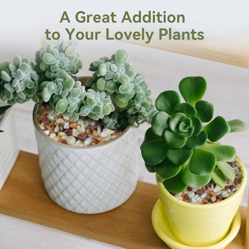Pulovin 5 lbs Pebbles for Indoor Plants, Succulent Rocks, 3/8" Polished Pebbles for Bamboo, Vase, Terrarium, Natural Decorative Small River Rocks for Crafts, Cactus, Outdoor Garden Landscaping - color: Colorful