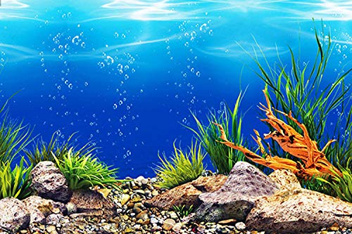 ELEBOX New 23" x 71" Fish Tank Background Paper Wallpaper 2 Sided Colorful Seaweed Water Plants Aquarium Background HD Poster Decorations - color: Sea World, size: H:23.4"x L:71.7"