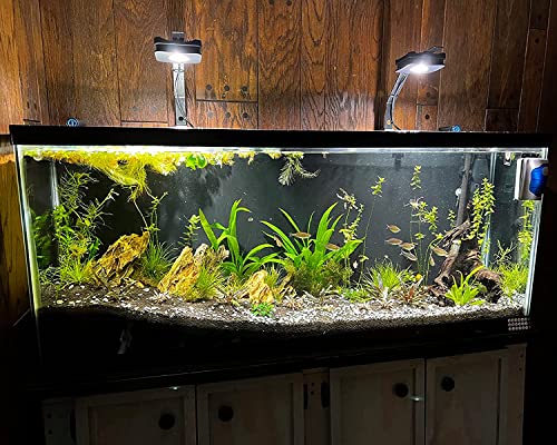 Lominie Aquarium Plant Light 26W Freshwater LED Aquarium Light Full Spectrum with Remote Control for Refugium Shrimp Tropical Fish Tank - color: Freshwater P30