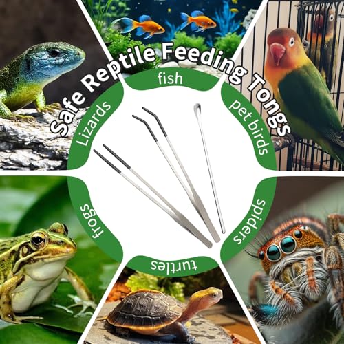 3PCS Reptile Feeding Tongs with Rubber Tips, 10.6" Stainless Steel Tweezers & Spoon Set with Storage Bag for Bearded Dragons, Geckos, Turtles, Tank Accessories