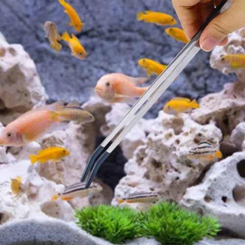 2Pcs Reptile Feeding Tong with Rubber Tip Aquarium Tweezers Stainless Steel Straight Curved Feeding Tong Long Handle Terrarium Feeder Tool for Tank Lizards Bearded Dragon Spider Snake - size: 10Inch