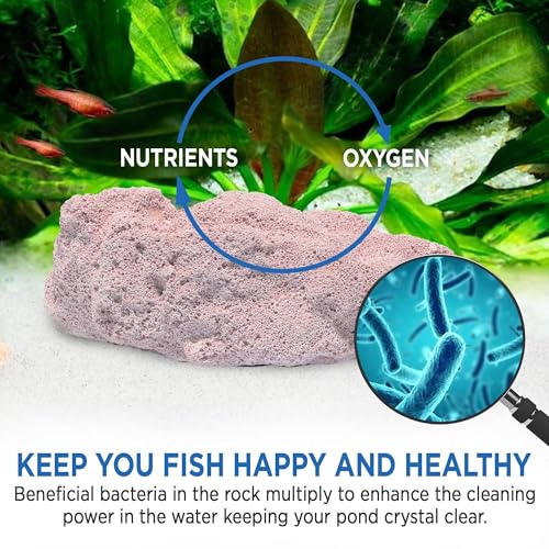 Fish Tank Rocks for Enhancing Water Clarity with Your Regular Cleaning Routine, Fish Friendly Aquarium Rocks, All Natural Aquarium Decor, Small, Up to 750 Gallons