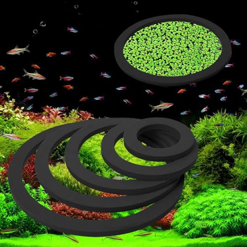 Versatile Plant Rings for Aquariums, Multiple, Black