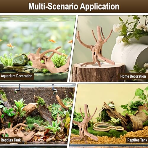 Kaiyuan Dynasty 3Pcs 8-10" Natural Aquarium Spiderwood for Reptile Terrariums Spider Wood Branch for Aquatic Plants Fish Tank Decorations - size: Spiderwood 8 to 10 Inch(Pack of 3)
