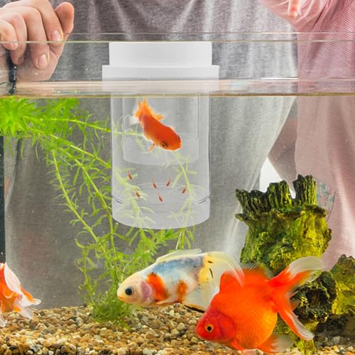 Hemobllo Floating Aquarium Fish Breeding Isolation Box with Fine and Coarse Mesh Nets, Hatchery Incubator for Guppy and Betta Fry Nursery, White Small and Medium Size Set for Fish Tank