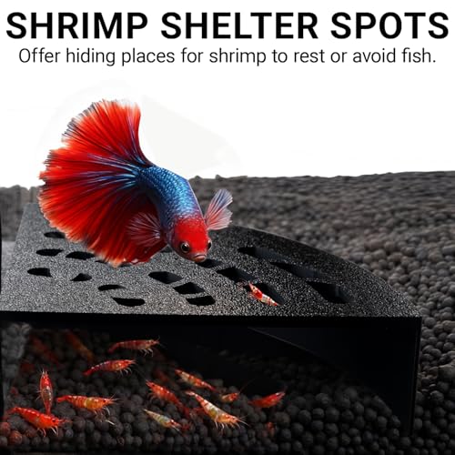 Shrimp Cave 2-Pack – Space-Saving Fan-Shaped Aquarium Cave Decor with 180° Wide-View Design, Compact Fish Tank Accessories for Cherry/Dwarf Shrimp (Black)
