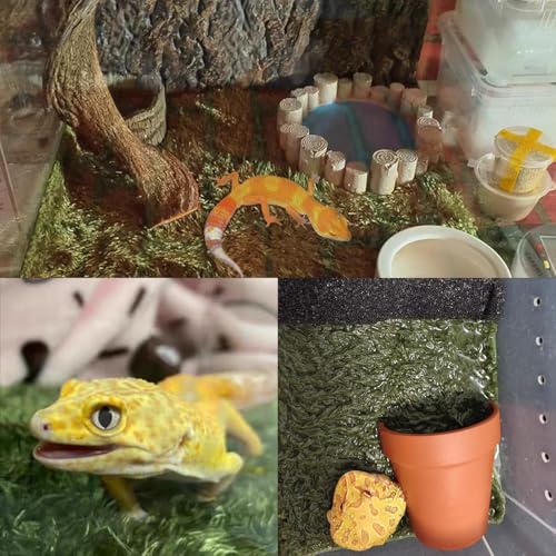 kathson 2Pcs Reptile Carpet Mat,35.4 x 17.7 in Terrarium Bedding Substrate Liner,Tortoise Imitation Rainforest Crawler Mats for Snakes Bearded Dragon Gecko Chameleon Turtles Iguana - color: 2PCS（XXL）：35.43 X 17.71 in