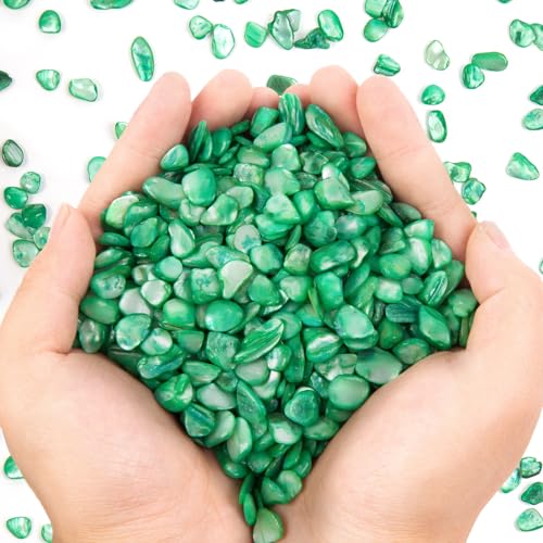 QICQDRAM Crushed Shells for Crafts About 2LB (900g/31.74oz) Small Natural Crushed Shells Bulk for Crafts DIY Beaching Wedding Decoration Vase Fillers - color: Green, size: 2LB (900g/31.74oz)