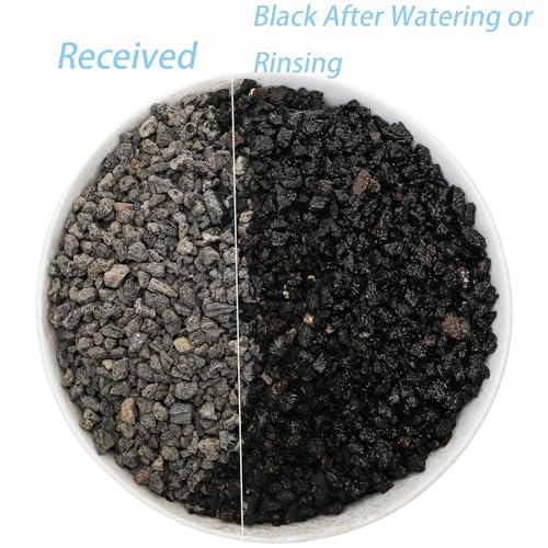 TOPZEA 12 LB Black Lava Rocks for Plant, Potting Soil Additive Decorative Landscaping Grits, Horticultural Gravel Crushed Volcanic Rock for Bonsai Succulent Cactus, Top Dressing, Fire Pit, Aquarium
