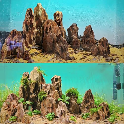 Aquarium Rocks 5lb Dragon Stone for Aquariums Aquascaping Landscaping Model Fish Tanks Terrariums Vivariums Decoration Paludarium Amphibian Enclosures-2-4 Inches - size: 5LB(2-4 Inches)