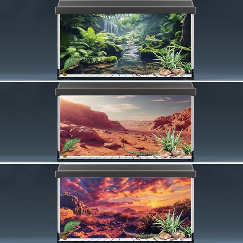 COMSUN 3 Pack Terrarium Background, 36x18 inches Polyester Reptile Background, Cloth Terrarium Backgrounds, Gobi Sunshine Cactus Stone & Green Tree Fern Stream Backgrounds - size: 36x18 Inch
