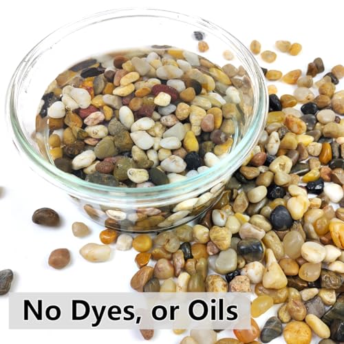 YISZM 5LB Succulent and Cactus Gravel Pebbles, 3/8 Inch Decorative Polished Stones, River Rocks for Plants, Vases, Aquariums, Terrarium and Outdoor Gardening, Natural - color: Natural, size: 5 Pounds