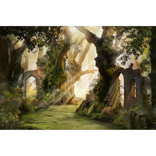 Fantasy Forest Aquarium Background Archway and Ancient Trees Atmospheric Landscape Fish Tank Background Deep Woods Misty and Foggy Mood Reptile Habitat Background Decors Poster Vinyl 24x16in - color: Orange, size: 24(W)x16(H)in
