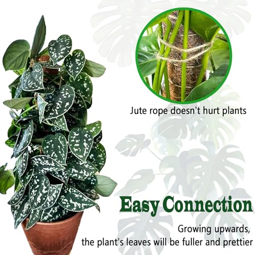 4 Pack 22 Inch Moss Poles, Stackable Moss Pole for Plants Monstera, 70 Inch Tall Moss Poles for Climbing Plants Indoor, Coir Totem Plant Support Stakes Stand for Potted Plants, Pothos - size: 4 pack 22in