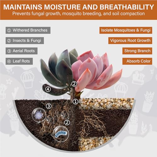 NUPICK 1-3mm Coarse Sand for Plants, 5lb Horticultural Grit for Aquariums, Succulents, Desert Silica Sand for Cactus, Decorative Gravel for Vases Filler, Gold Grit for Bonsai, Landscaping