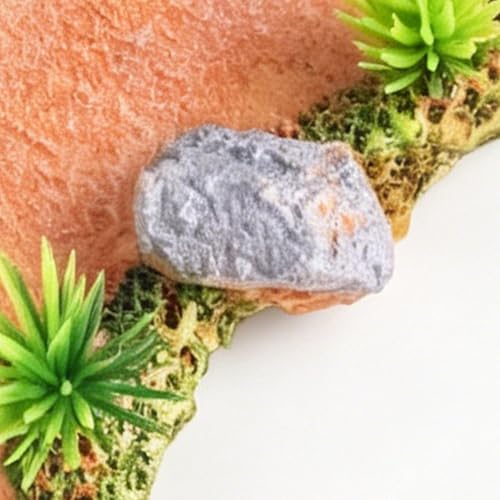 Aquarium Pathway - 3-Piece Landscaping Sculpture Fairy Bridge Fish Tank Stone Ornament Pathway Freshwater Saltwater Shrimp Tank Living Room Bedroom