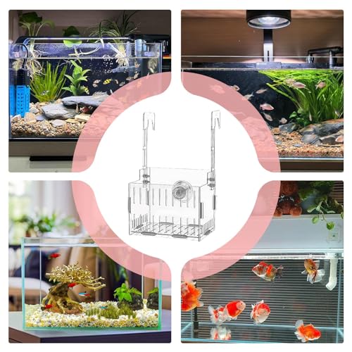 Aquarium Plant Holder, Versatile Placement, 15x10x12cm, Fish Tank Greenery, Planted Aquarium Shelf, Fish-Friendly, for Corner, Shelf, Underwater Vine, Moss - color: Single Cell