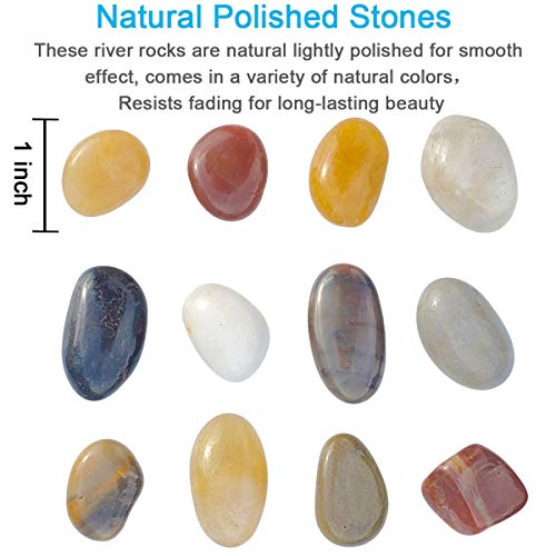 2 LB Aquarium Gravel River Rock - Natural Polished Decorative Gravel, Small Decorative Pebbles, Mixed Color Stones,for Aquariums, Landscaping, Vase Fillers (32-Oz)