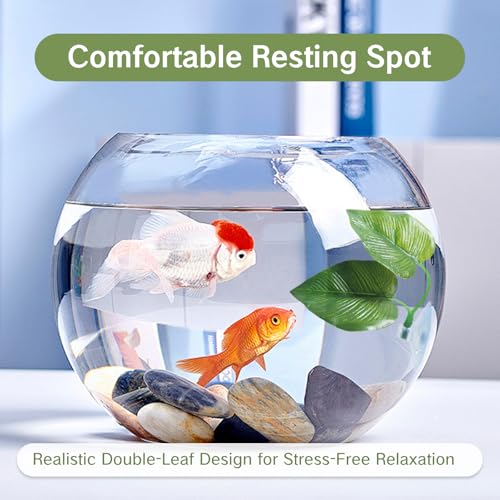 Betta Fish Toys Interactive Betta Ring and Leaf Hammocks Small Tank Accessories Feeding Spot and Resting Bed Breeding Ground Black Circle Fish Feeder with Suction Cups for Aquariums