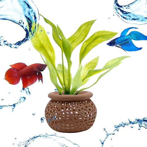 Aquarium Plant Pot Holders, Aquatic Plant Holder, Securely Hold Aquatic Plants, Promoting Healthy Root Growth, Fish Tank Aesthetic (Set of 2 (Natural Brown)) - color: Set of 2 (Natural Brown)
