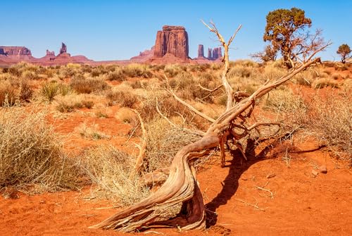 48X18 Inch Withered Tree & Rock Desert Terrarium Backdrop - Arid Sandstone Habitat Background Durable Polyester Reptile Tank Decor for Dry Climate Species - size: 48X18in