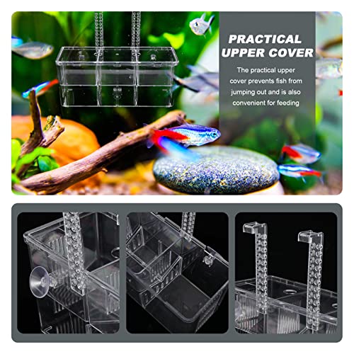 POPETPOP Fish Breeding Isolation Box Aquarium Incubator for Fry Prevents Easy Installation Cups Secure Nursery for Fish for Betta and Guppy Breeding