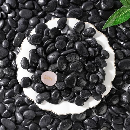 SIDONG 10 LB Black River Rocks, 0.3-0.5 Inches High Polished Pebbles for Indoor Plants, Aquarium Rocks Used in Fish Tank, Decorative Stones for Plants, Vases, Home Décor, Crafting, Garden Landscaping - color: Black, size: 10 Pounds