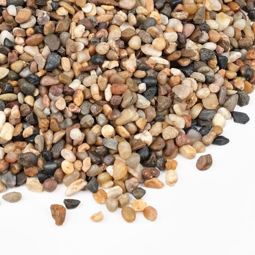 2.5 lbs Small Rocks for Plants, 1/5 Inch Gravel for Plants Drainage, Decorative Potting Pebbles for Indoor Plants, Vases, Bamboo, Succulent, Terrarium, Crafts, Cactus - color: Colored